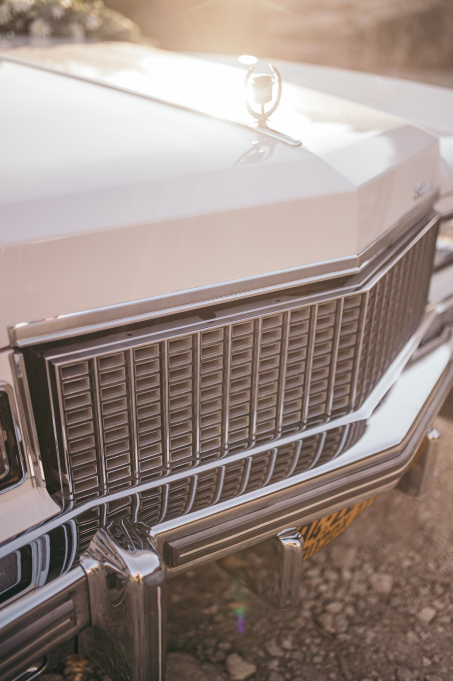 WhatsApp Image 2023-01-13 at 16.06.32 (1).jpeg